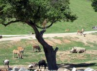 San Diego Zoo Safari Park